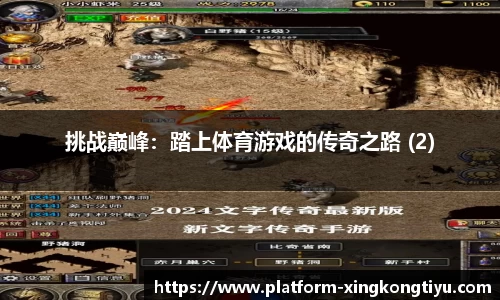 挑战巅峰：踏上体育游戏的传奇之路 (2)